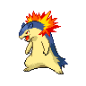 dragalge